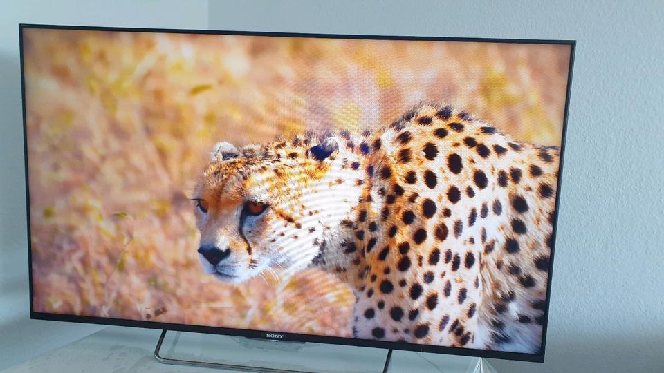 Fernseher Sony 55 W 805 C in Rodgau