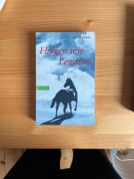 Buch: Fliegen wie Pegasus Hessen - Fulda Vorschau