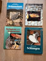 Terrarien, Bücher verschiedene Titel. Nordrhein-Westfalen - Oberhausen Vorschau