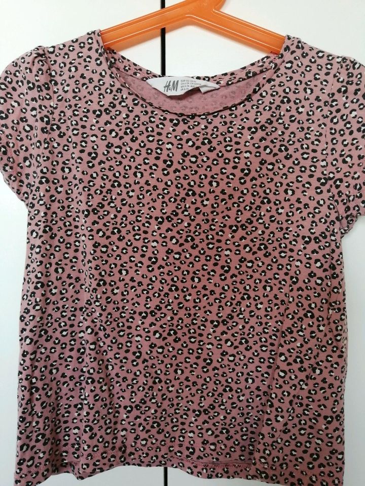 h&m T-Shirt Gr. 122 in Bobzin