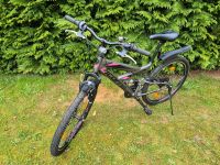 26 zoll Licorne Mountainbike Fahrrad Damen Mecklenburg-Vorpommern - Quitzerow Vorschau