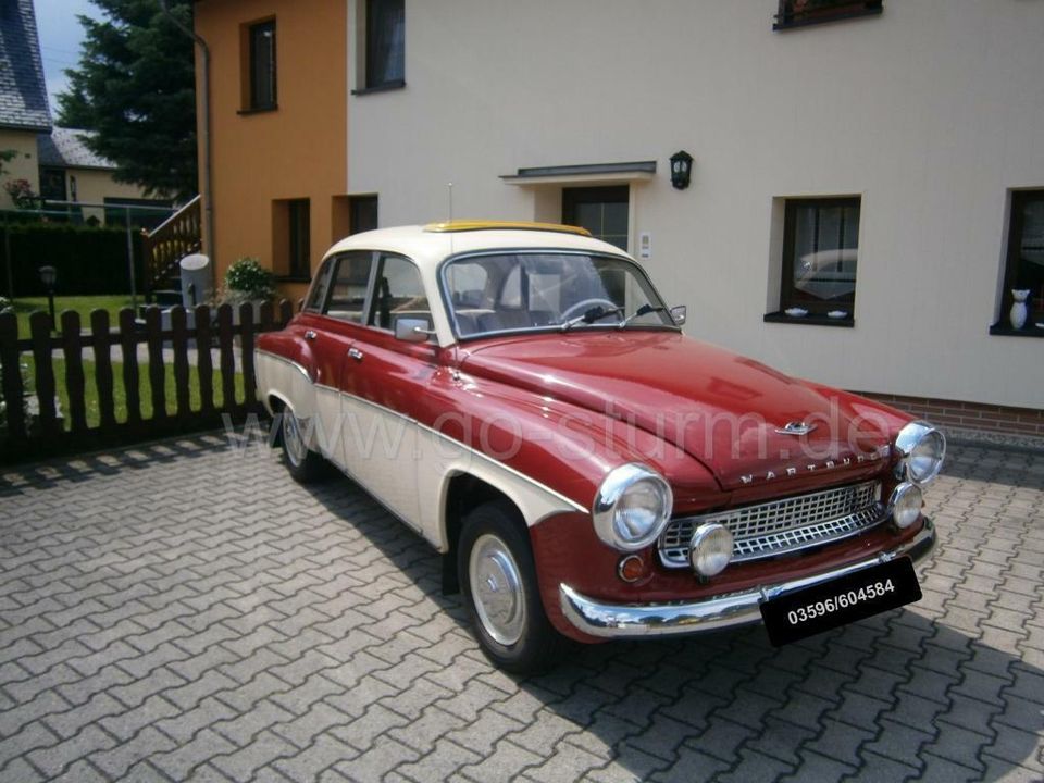 Oldtimer Vermietung mit Fahrer - Oldtimer mieten in Neustadt