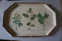 Tablet - Holz - Vintage - Florale - Pflanzen - Bild - Deko Baden-Württemberg - Villingen-Schwenningen Vorschau