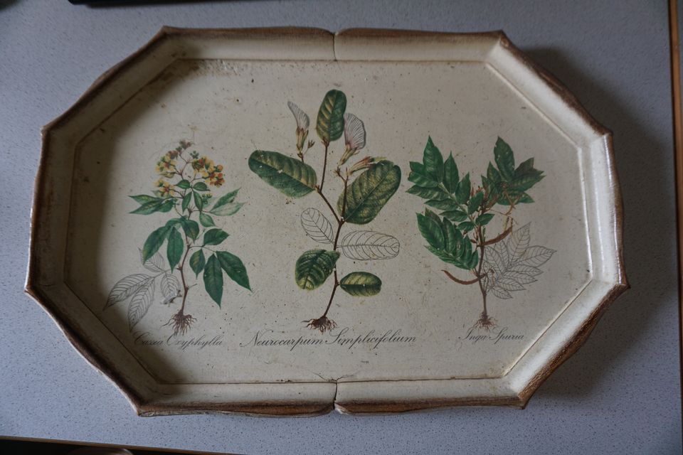 Tablet - Holz - Vintage - Florale - Pflanzen - Bild - Deko in Villingen-Schwenningen