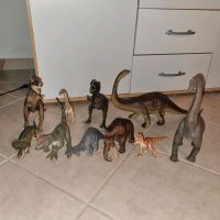 12 Schleich Dinos / Dinosaurier, 1 Schleich Mammut u w Nordrhein-Westfalen - Alfter Vorschau