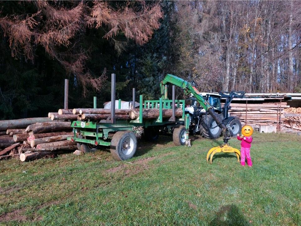 Rückewagen Holzwagen in Neufra Hohenzollern