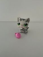 Littlest Pet Shop Katze #32 Spielfigur LPS Sammelfigur Hessen - Hanau Vorschau
