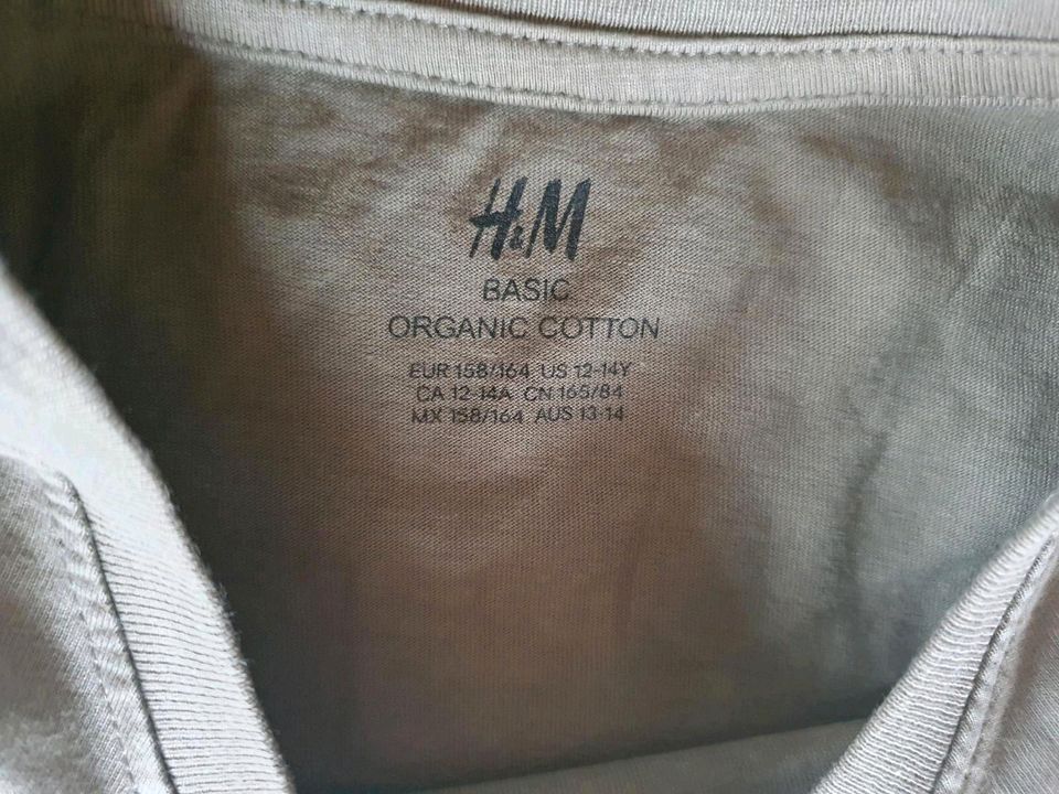 H&M T-Shirt Gr. 158 / 164 grün in Surwold