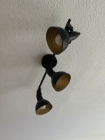 Deckenlampe, Lampe, Leuchte Pankow - Karow Vorschau