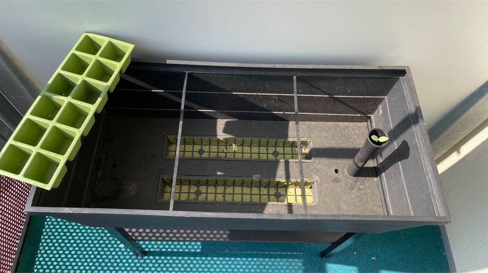 Keter Urban Bloomer Hochbeet für Balkon mit Bewässerungssystem in Leipzig