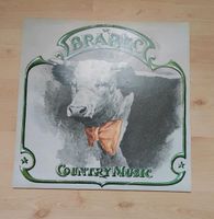 DDR Schallplatte Vinyl Brabec Country Musik Thüringen - Frankenblick Vorschau