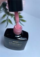 Shellac Jolifin - Pastell-Blush Nordrhein-Westfalen - Blomberg Vorschau