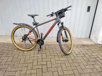 Fahrrad, MTB, Herrenrad, Raleigh Daymax Bayern - Heiligenstadt Vorschau