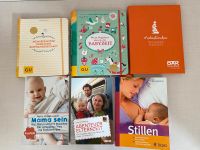 Mein Begleiter durch die Schwangerschaft Bücher Babyzeit Frankfurt am Main - Eschersheim Vorschau