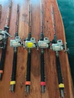 Trollingruten Patriot Mustard Corestick 2.10m mit Daiwa Accudepth Schleswig-Holstein - Eckernförde Vorschau