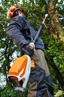 STIHL HTA 86 Akku-Hochentaster AP-Serie ***sofort verfügbar*** Baden-Württemberg - Malterdingen Vorschau