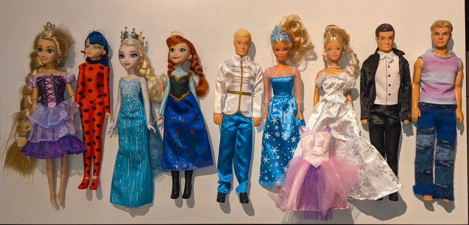 Anna Elsa Ladybug Rapunzel Prinzessin und andere Puppen in München