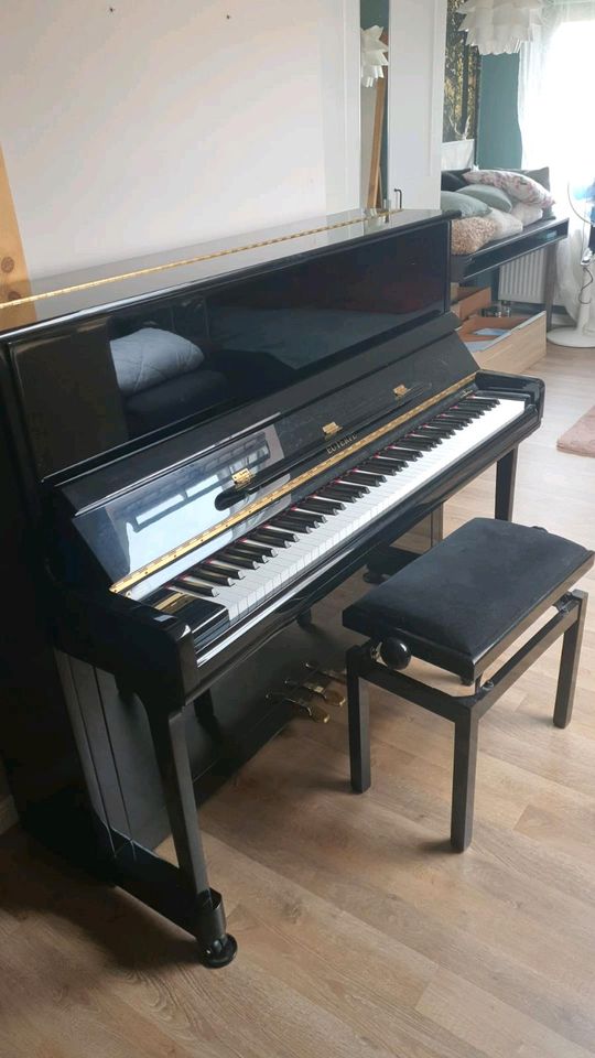 Klavier Euterpe EU-121 von C. Bechstein in Donaueschingen