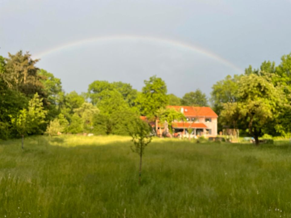 Auszeit in der Lüneburger Heide / van life in Neuenkirchen