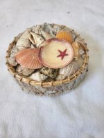 Muscheln Deko Stuttgart - Vaihingen Vorschau