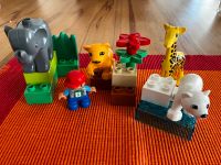 Lego, Duplo – Zoo Tiere Düsseldorf - Grafenberg Vorschau