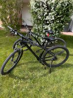 2x Orbea Onna 50 Schwarz M Bayern - Amberg Vorschau