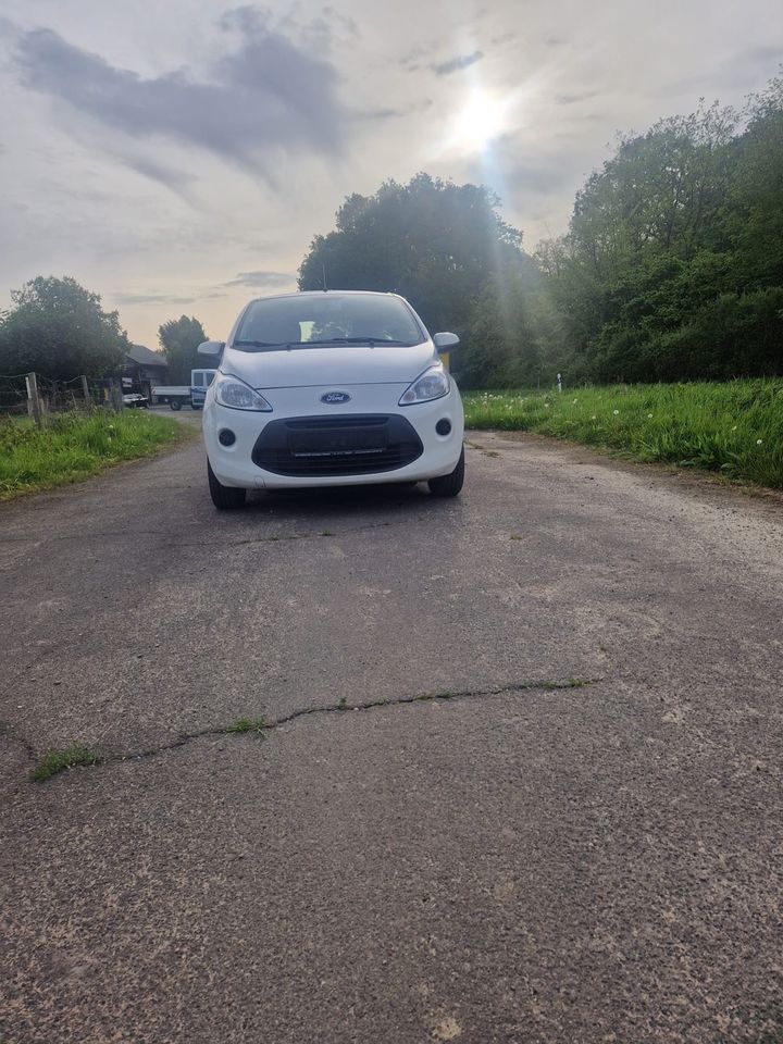 Ford Ka  2012 in Krefeld