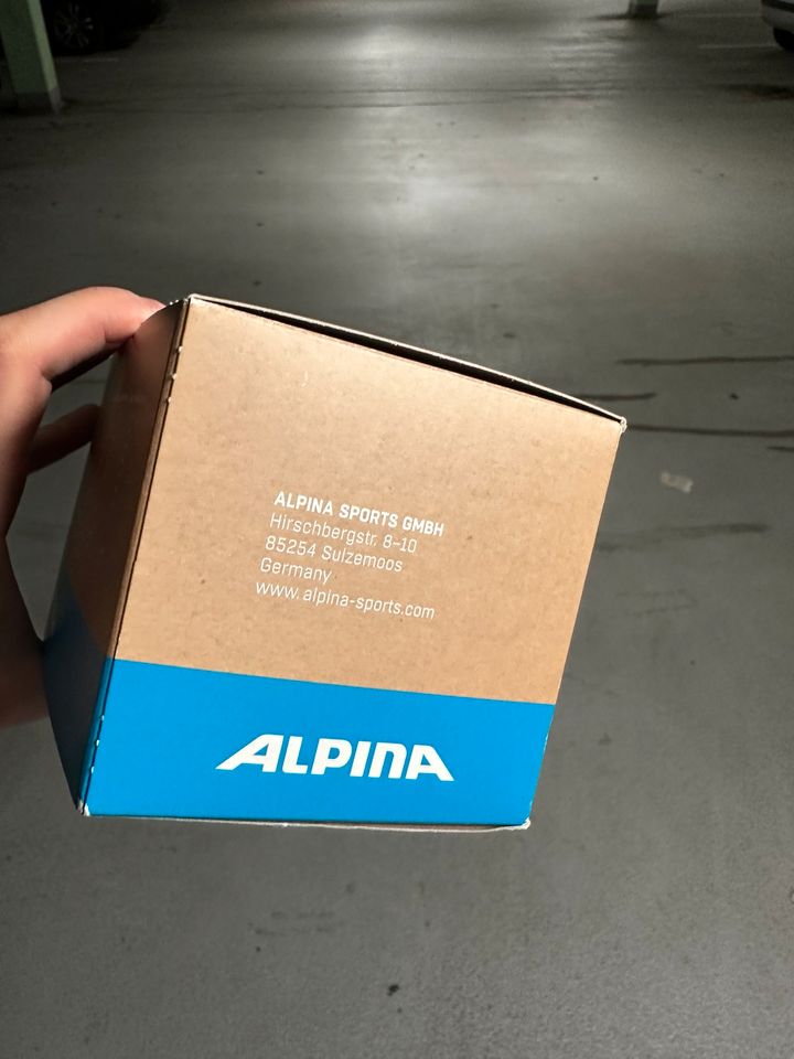 Skibrille & Snowboardbrille Alpina Quattroflex Panoma OTG in Augsburg