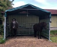 Patura Weidezelt Schleswig-Holstein - Bordesholm Vorschau