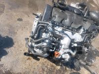 Motor  VW PASSAT  GOLF  2,0TDI  140PS  37TKM   komplett Mecklenburg-Vorpommern - Neubrandenburg Vorschau