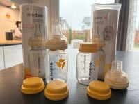 Medela Calma 150ml 1xneu + 1xgebraucht Baden-Württemberg - Mahlberg Vorschau