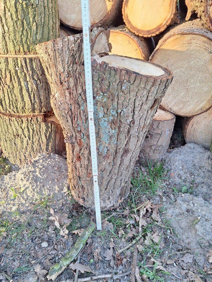 Eichenstamm Stammholz zu verkaufen - Einzelstück - 55cm in Gnarrenburg