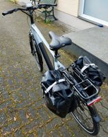 Tretwerk Bronx 2.0 Trekking E-Bike Pedelec Silbergrau Herzogtum Lauenburg - Büchen Vorschau