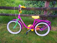 Vintage Kinderfahrrad zu verkaufen Schleswig-Holstein - Warnau b Nettelsee Vorschau