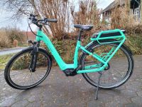 e bike Flyer Gotour2 5.00 Comf M Mint, Baujahr 2020 Wesertal - Gieselwerder Vorschau