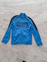 Puma Jacke Sportjacke 164 neu Häfen - Bremerhaven Vorschau