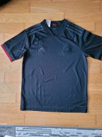 Adidas Sport-Shirt Größe 164 München - Pasing-Obermenzing Vorschau