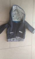 Baby Jacke Sweatjacke 62 Tom Tailor Bayern - Bruckberg bei Landshut Vorschau