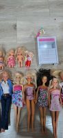 Barbie zuverkaufen Rheinland-Pfalz - Wissen Vorschau