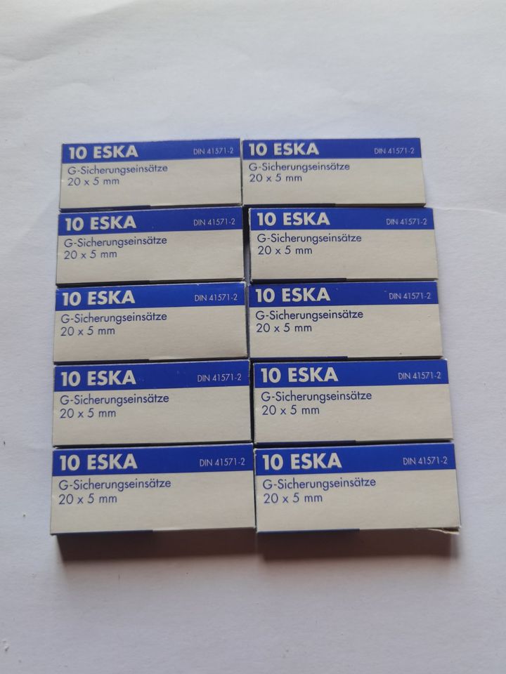Sicherungseinsatz ESKA G 20x5 mittelträge 100 Stück in Glottertal