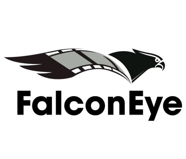 Falcon Eye FPV - Drohnen Eventfilme, Hochzeits- und Imagevideos in Saarbrücken