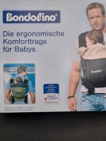 Baby Komforttrage Nordrhein-Westfalen - Krefeld Vorschau