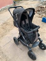 Kinderwagen Brandenburg - Potsdam Vorschau