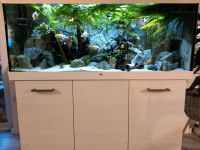 Aquarium Juwel 450 LED mit Unterschrank+Zubehör.+ Fische Brandenburg - Oranienburg Vorschau