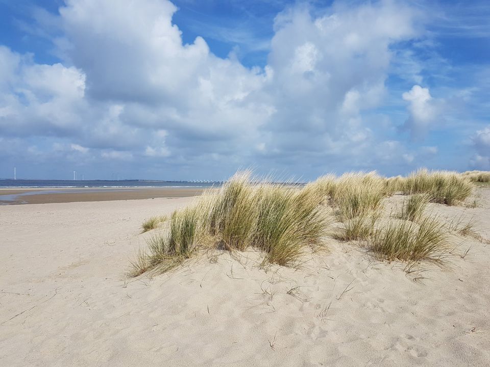 Urlaub mit Hund 4 Personen-Chalet Zeeland NL Meer Strand in Jüchen