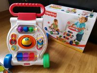 Lauflernwagen Fisher Price Niedersachsen - Emmerthal Vorschau