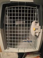 Hunde Transportbox Gulliver Nordrhein-Westfalen - Essen-Haarzopf Vorschau