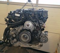 Motor 3.0D V6 DEW DEWB MHEV 347PS AUDI S4 SQ5 S6 S7 29TKM KOMPLET Berlin - Wilmersdorf Vorschau