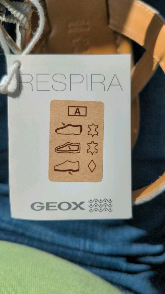 Neue. Geox. Damen. 39. Versand 4,50 in Reinbek