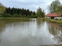 Besatzfische Nordrhein-Westfalen - Anröchte Vorschau